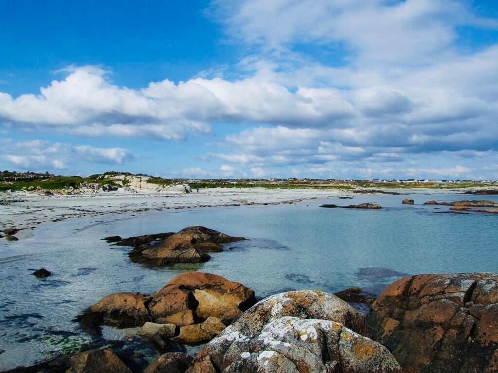 Wild Atlantic Stay Cottage Galway Dış mekan fotoğraf